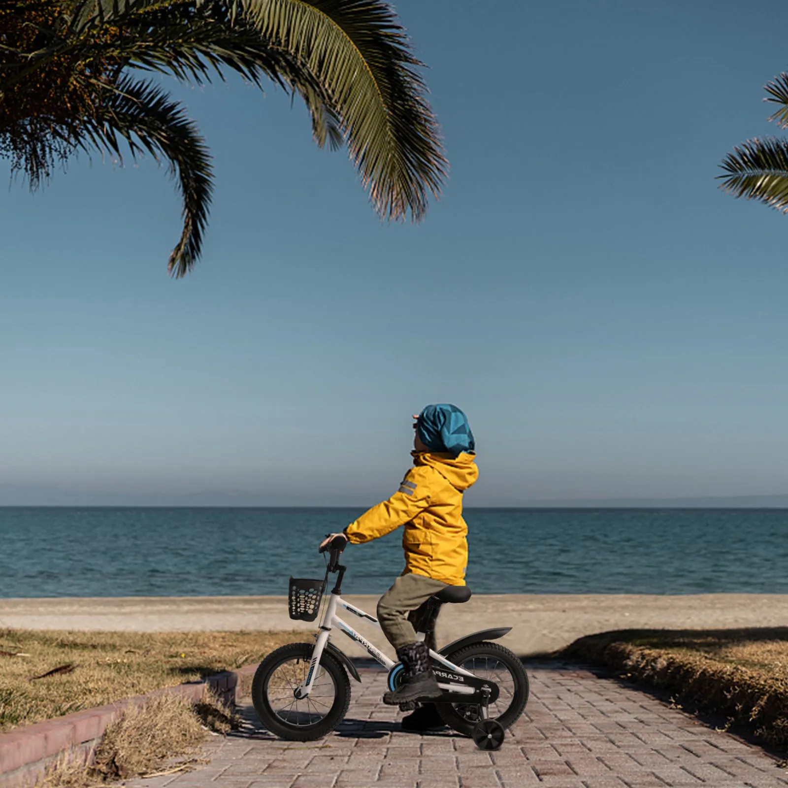 C14111A Kids Bike 14 inch for Boys & Girls with Training Wheels, Freestyle Kids' Bicycle with Bell,Basket and fender.