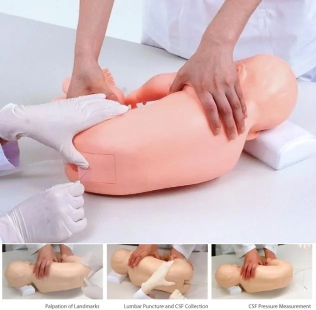 Pediatric Lumbar Puncture Simulator II