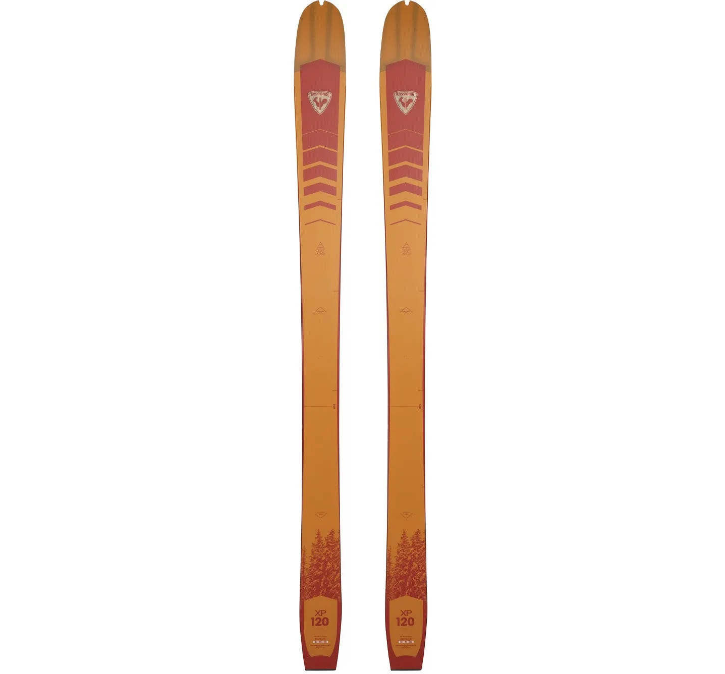 Rossignol XP 120 Positrack