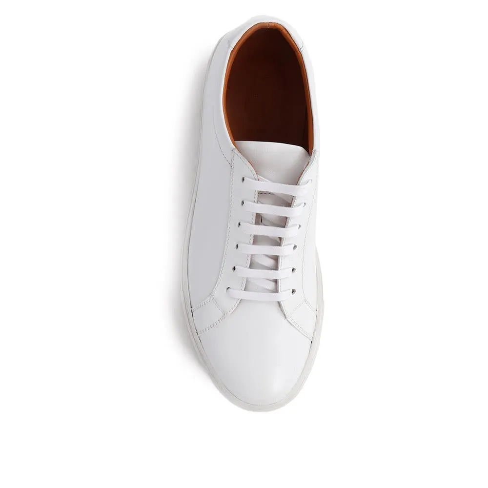 Sutton Leather Sneakers / 320 905