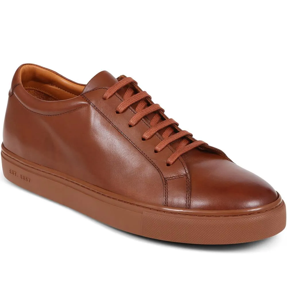 Sutton Leather Sneakers / 320 905