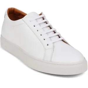 Sutton Leather Sneakers / 320 905