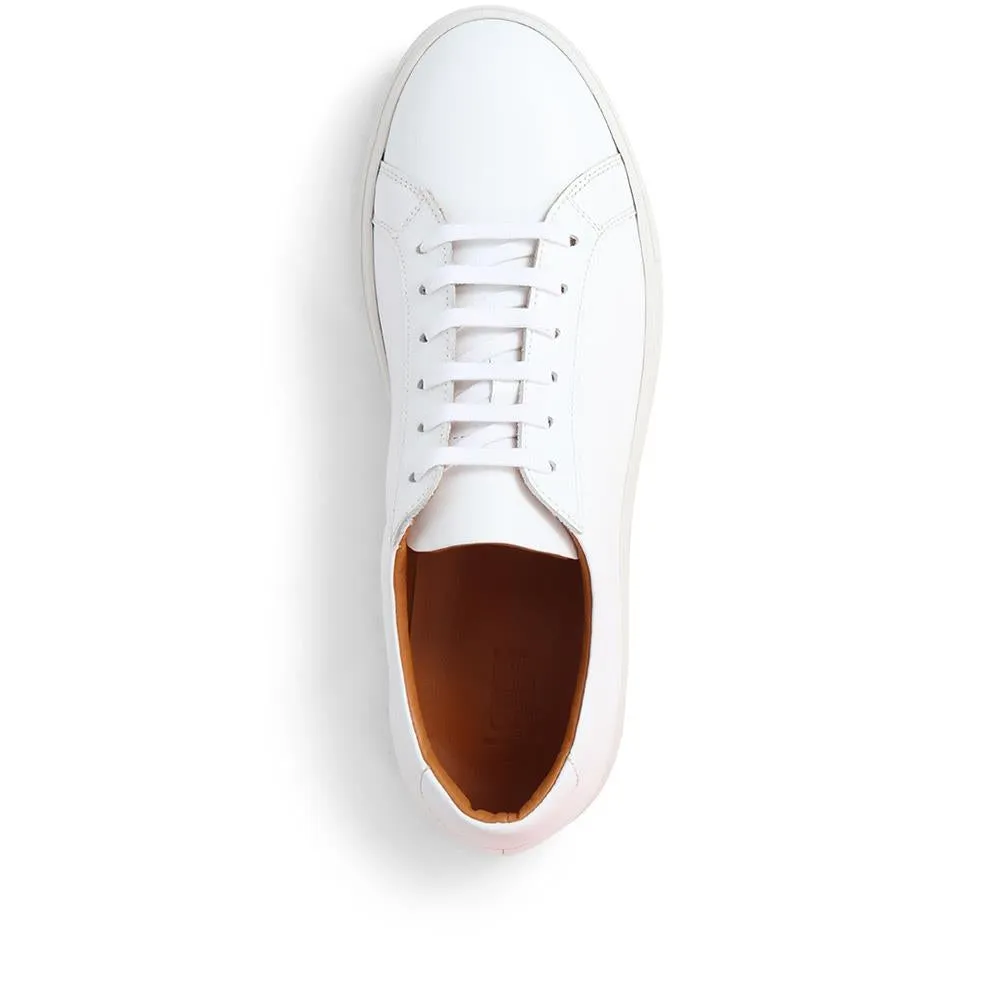 Sutton Leather Sneakers / 320 905