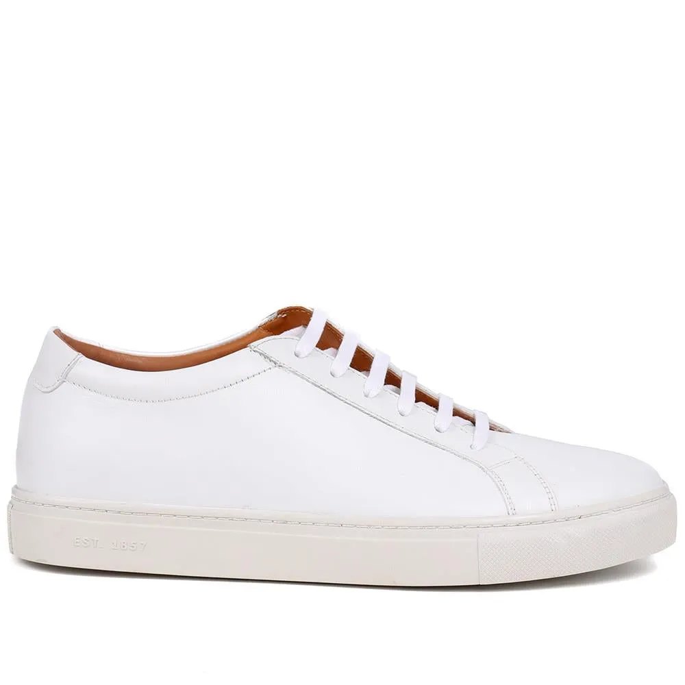 Sutton Leather Sneakers / 320 905