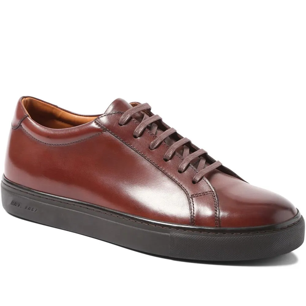 Sutton Leather Sneakers / 320 905