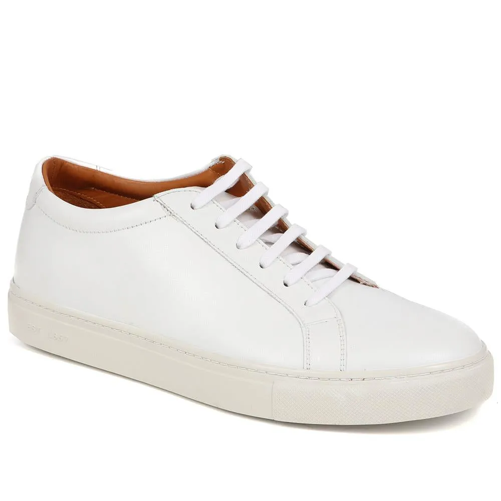 Sutton Leather Sneakers / 320 905